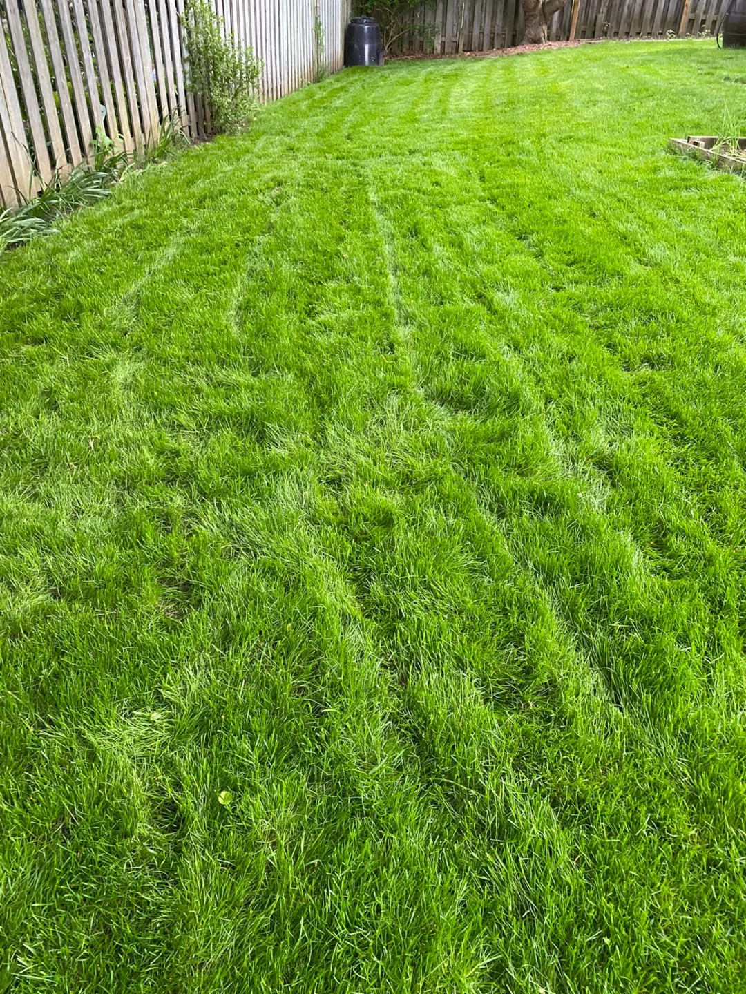 Landscaping hero image